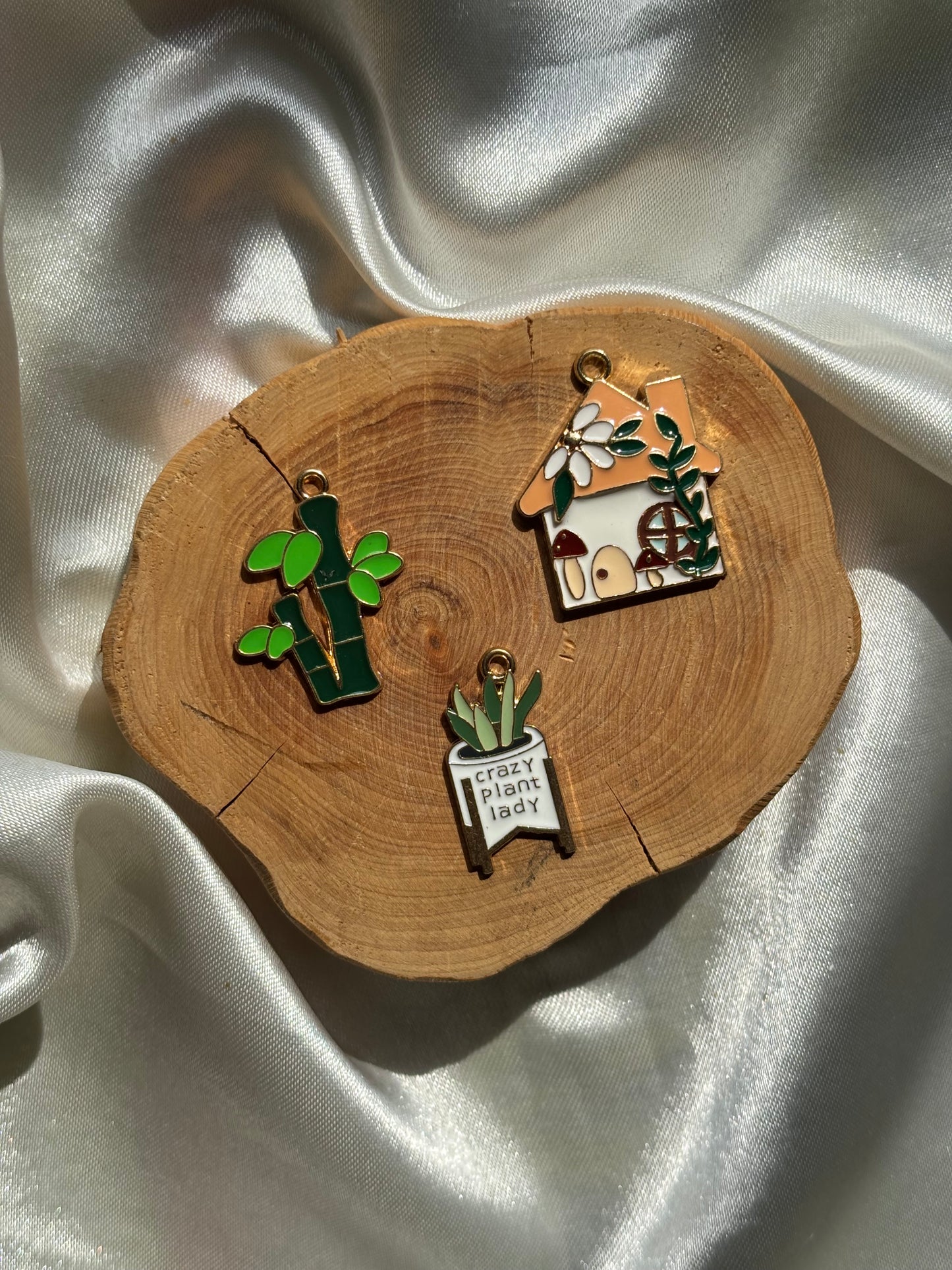 Home plant charms