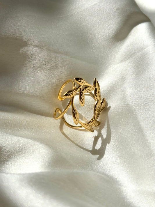 Spring Ring